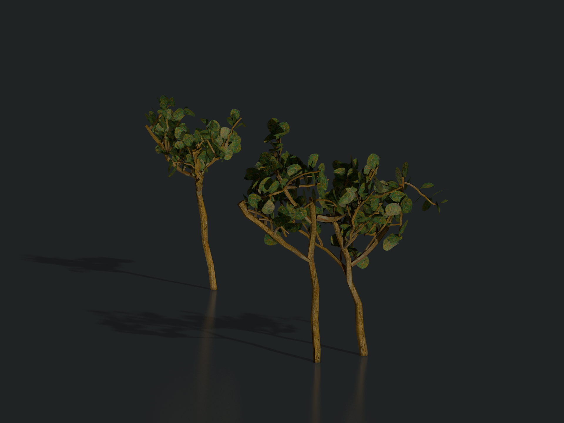 plants_arles_01_1302.png