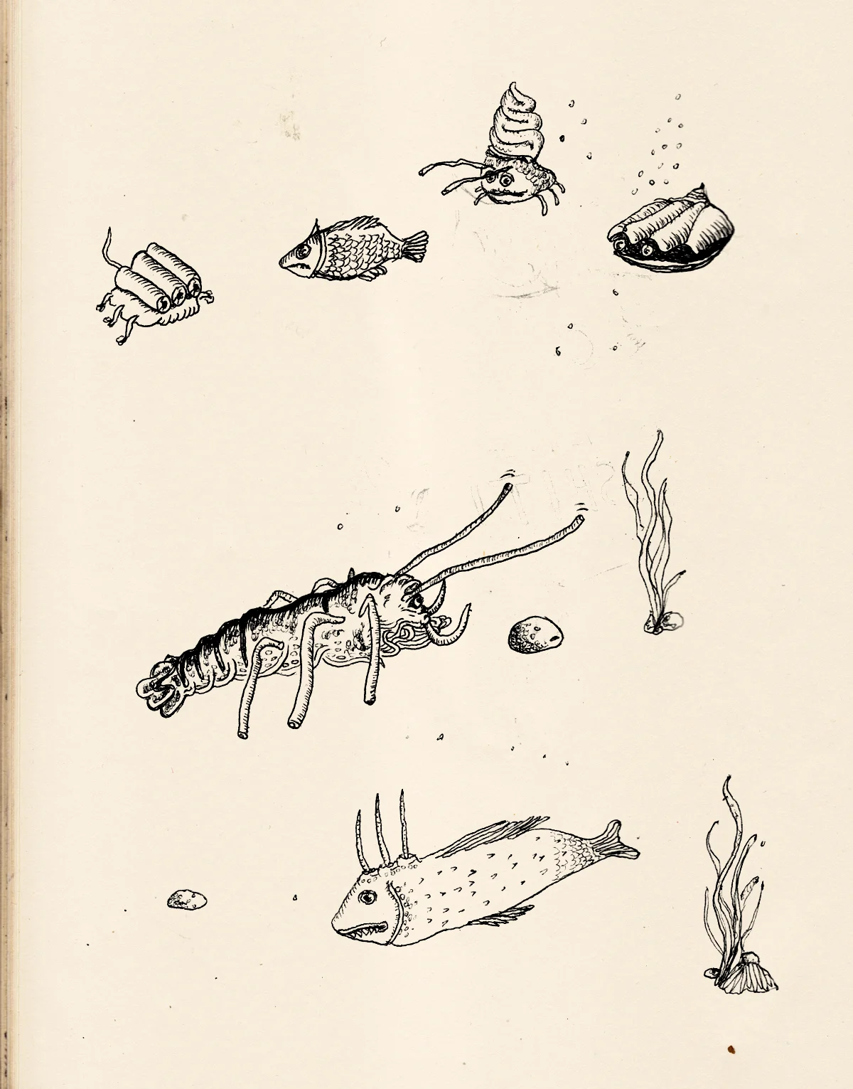 Some alive seafood and Pescerania that bitten my friend's Roger foot.