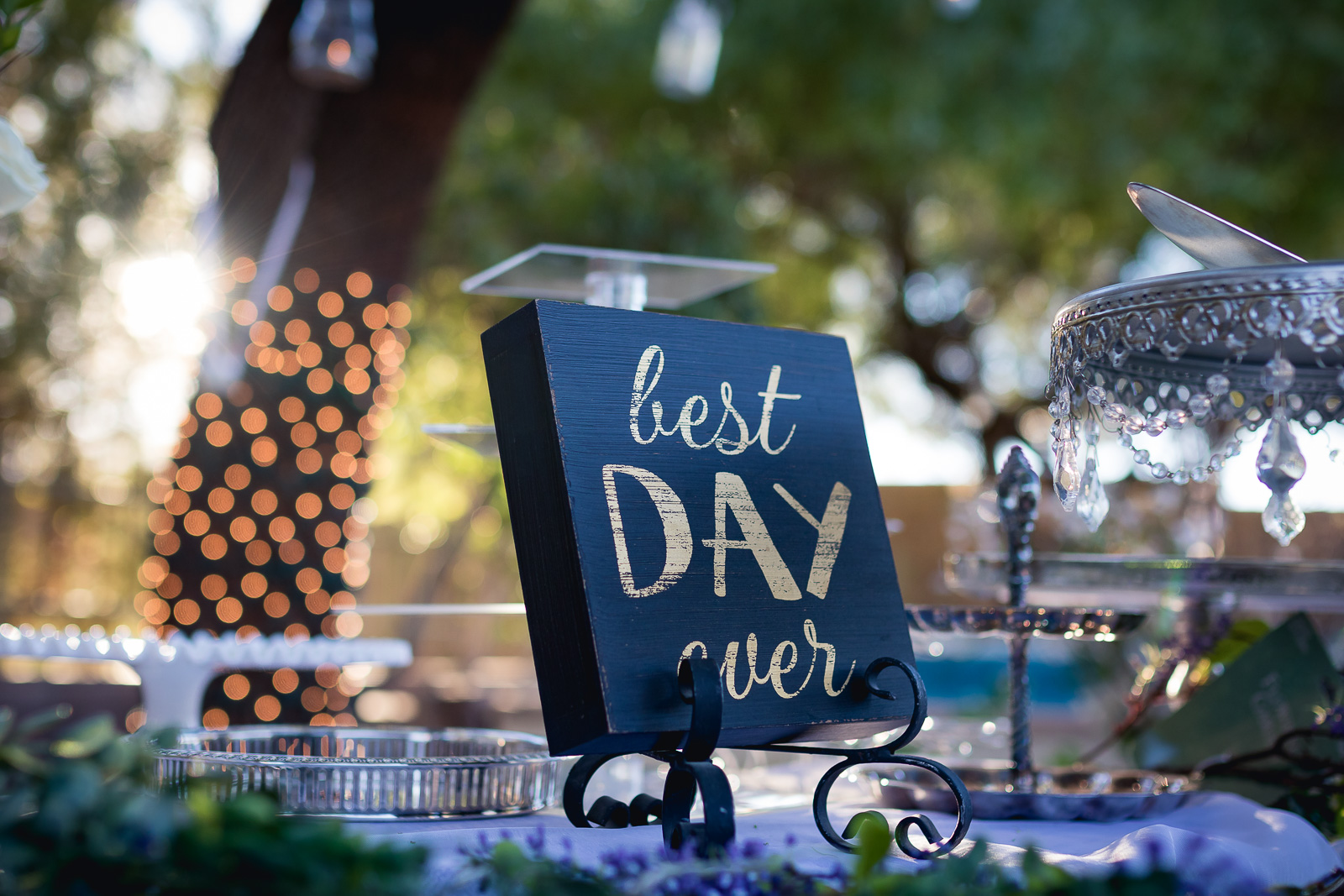 Cabrera-Wedding-Reception-2.jpg