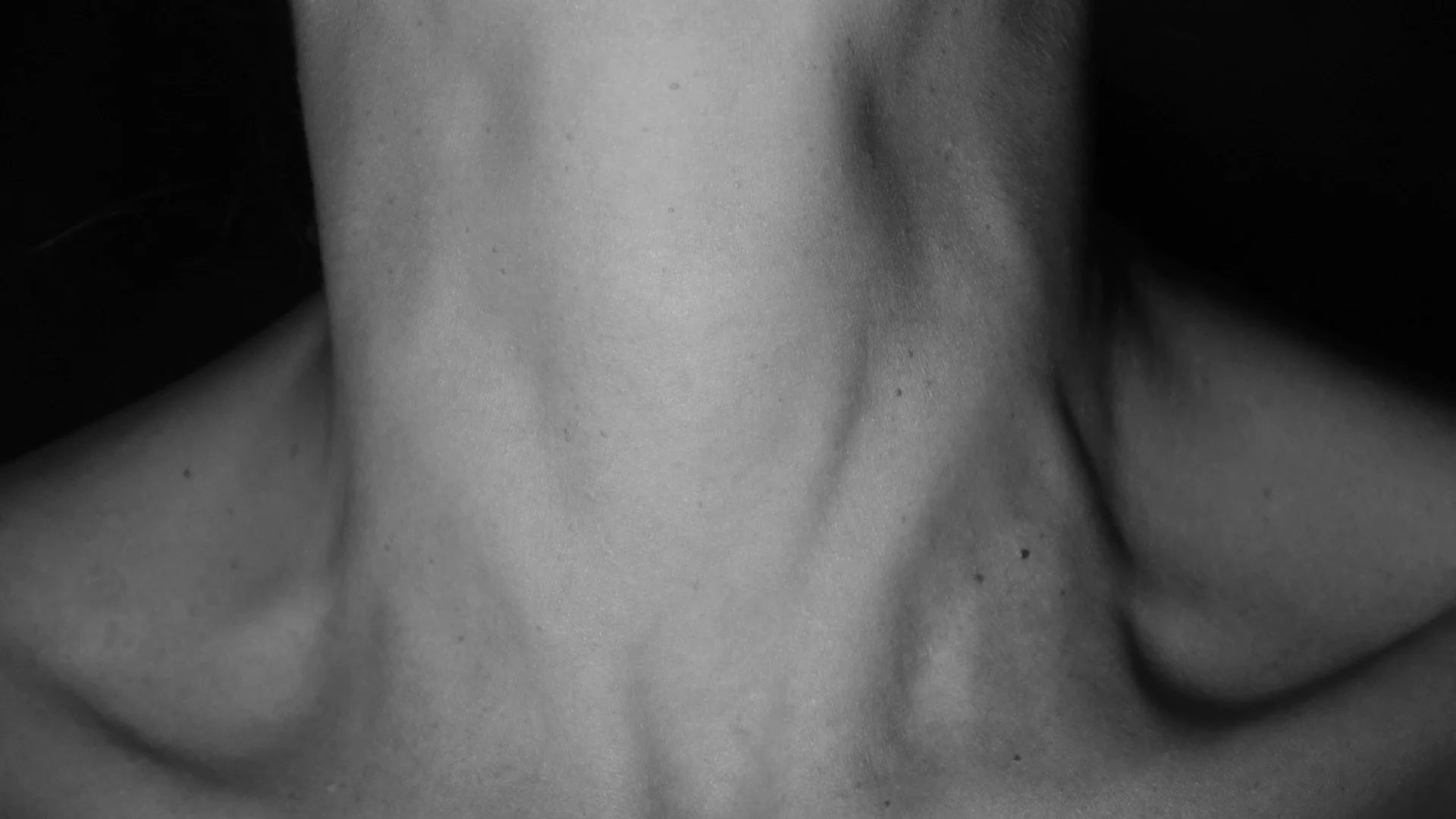 materialprevio-10.jpg