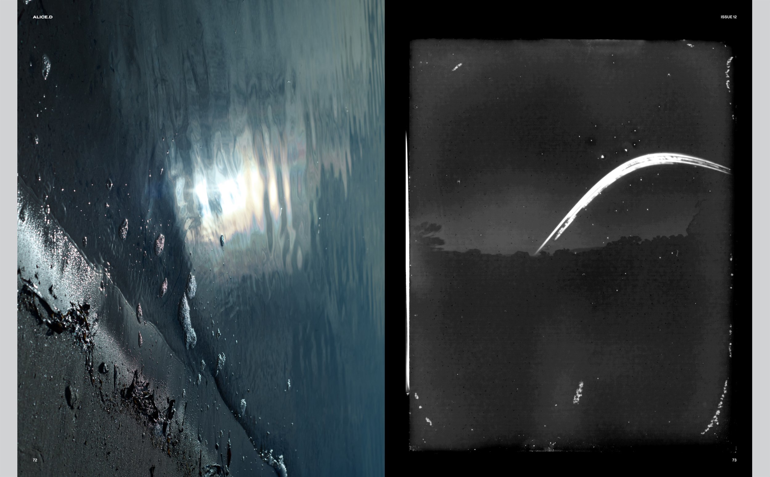 052_p02_Alice.D,  Born Free, November 2025.jpg