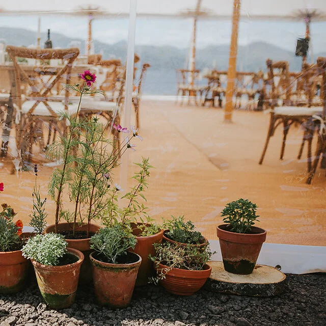 Terracotta pots