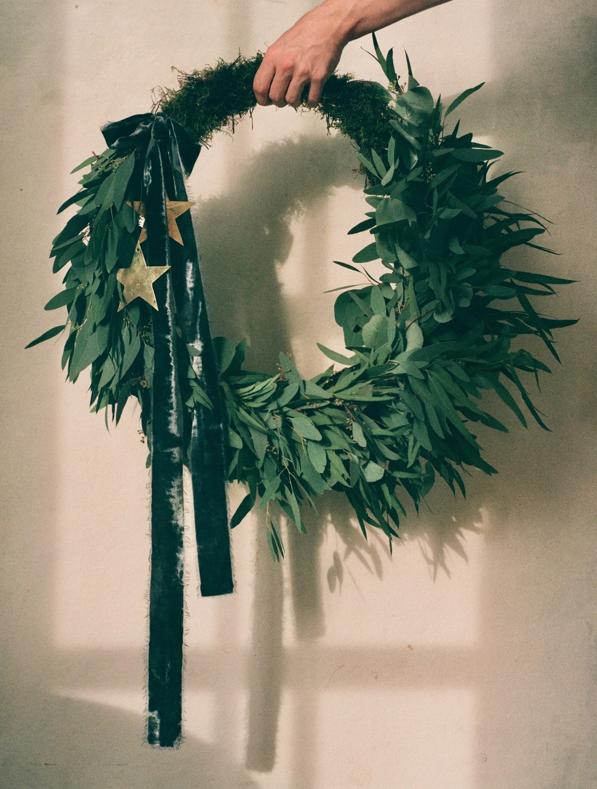 Eucalyptus Christmas wreath kit