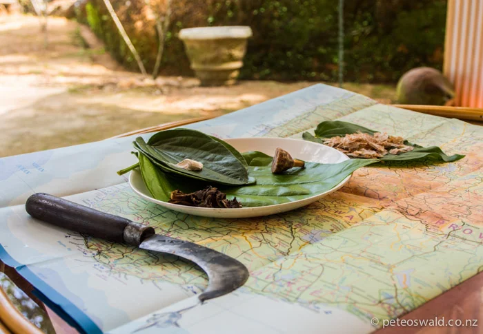 Planning the next few days travel over the locally favoured natural narcotic