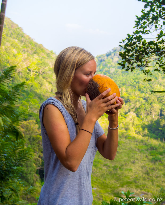 A fresh King Coconut at the top of the climb to the Kukuli Vihara Buddhist temple