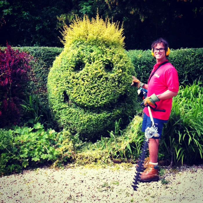 A hedge I trimmed, I was told to make it to a sphere but I couldn’t resist. This is right out Mr. Deegans office window. Photo: Sophie Stevens