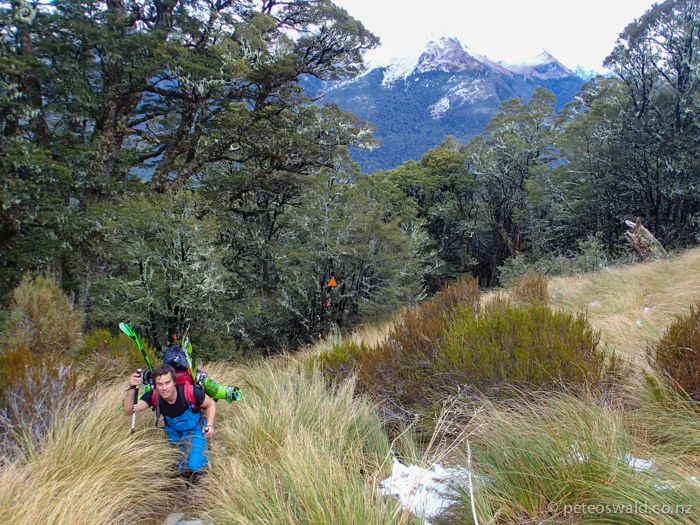 Coming out of the treeline from the brutal “staircase” at 1100m. Photo: Jeremy Lyttle