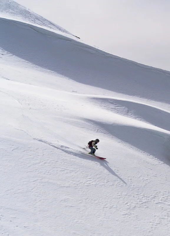 Soph scoring some pristine spring corn. Photo: Pete Oswald