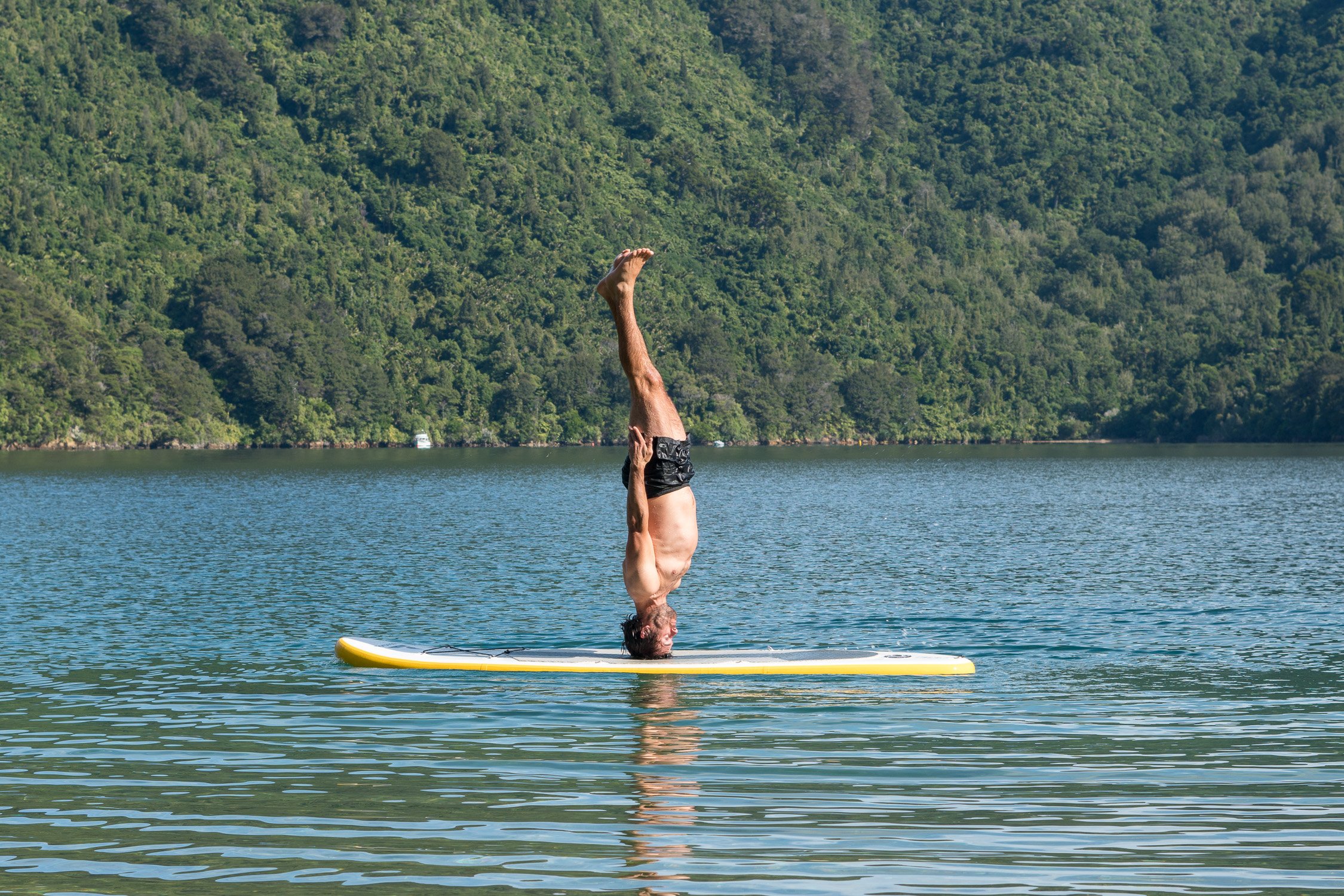 Marlborough Sounds, NZ