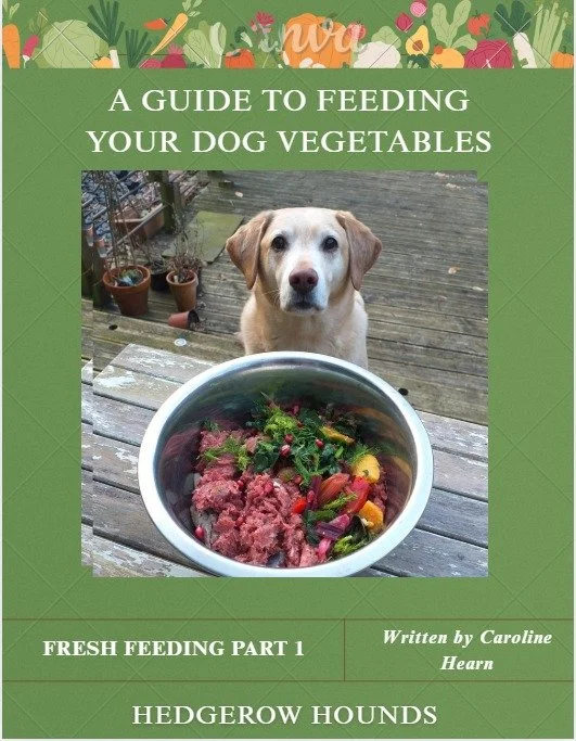 E-Book - A Guide To Feeding Your Dog Vegetables - E-Book