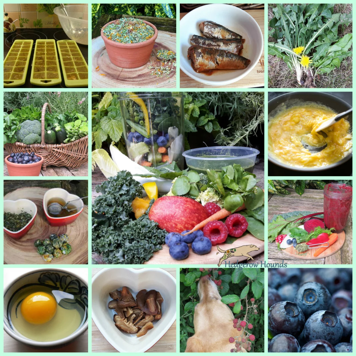 Simple Ways to Improve your Dogs Diet