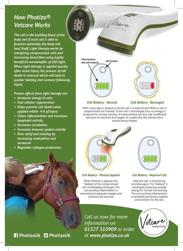 Photizo LED Light Therapy Device — Hedgerow Hounds Holistic Dog