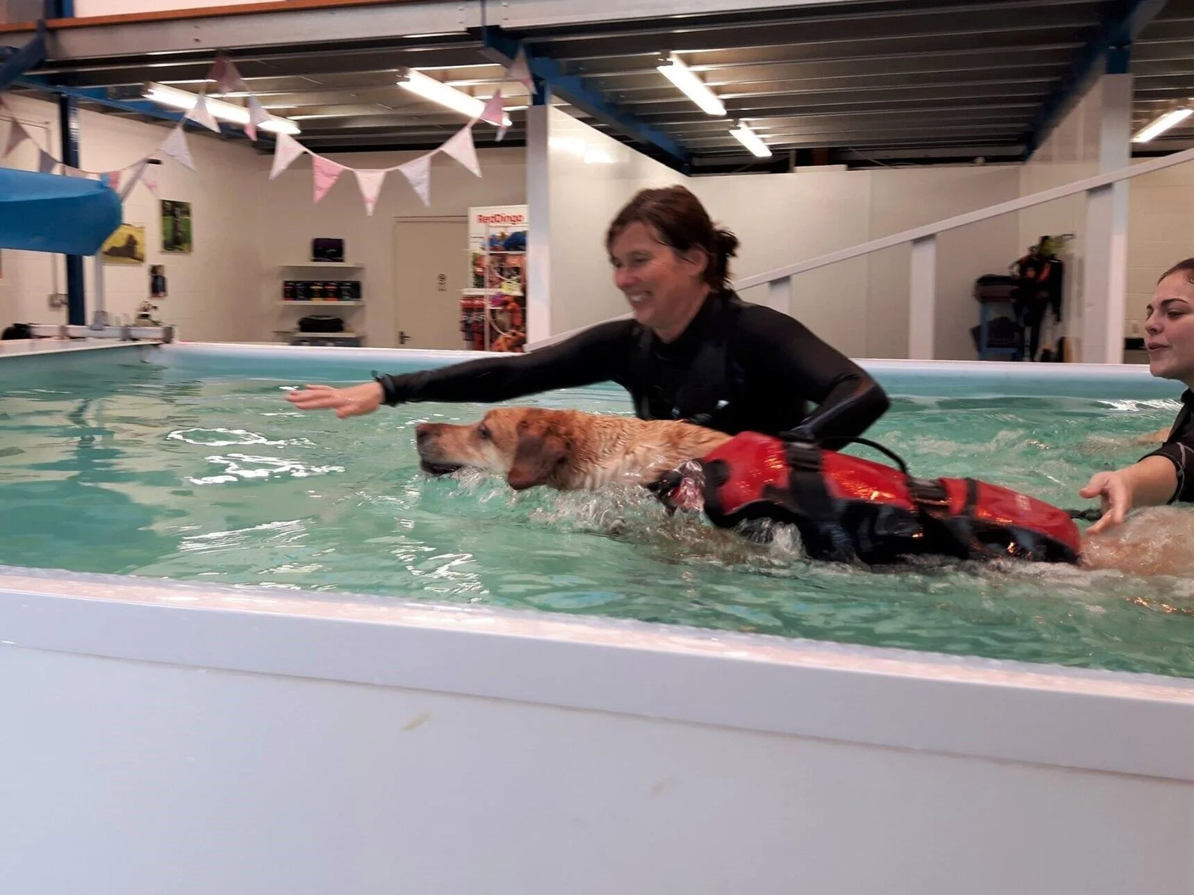 Canine Hydrotherapy, Underwater Treadmill verses Swimming