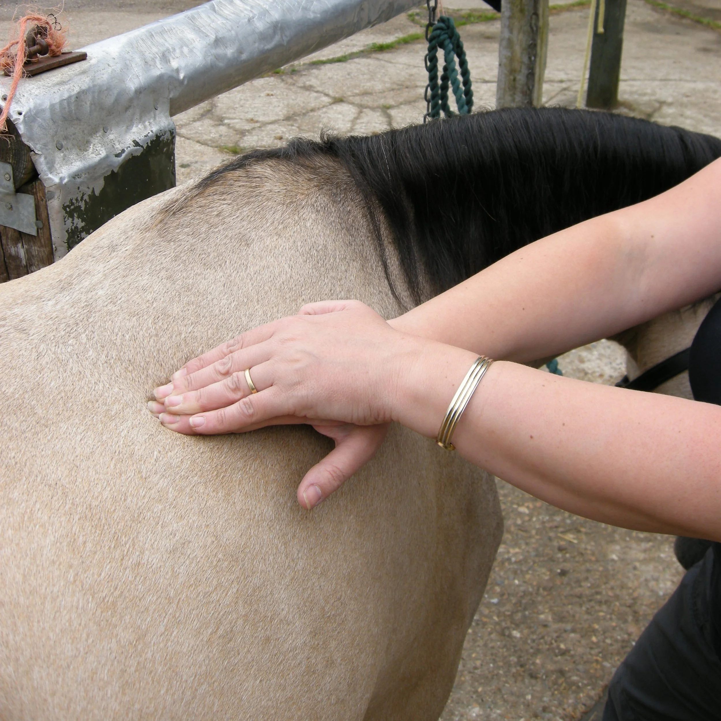 Fascia- What is it and why is it so important? 