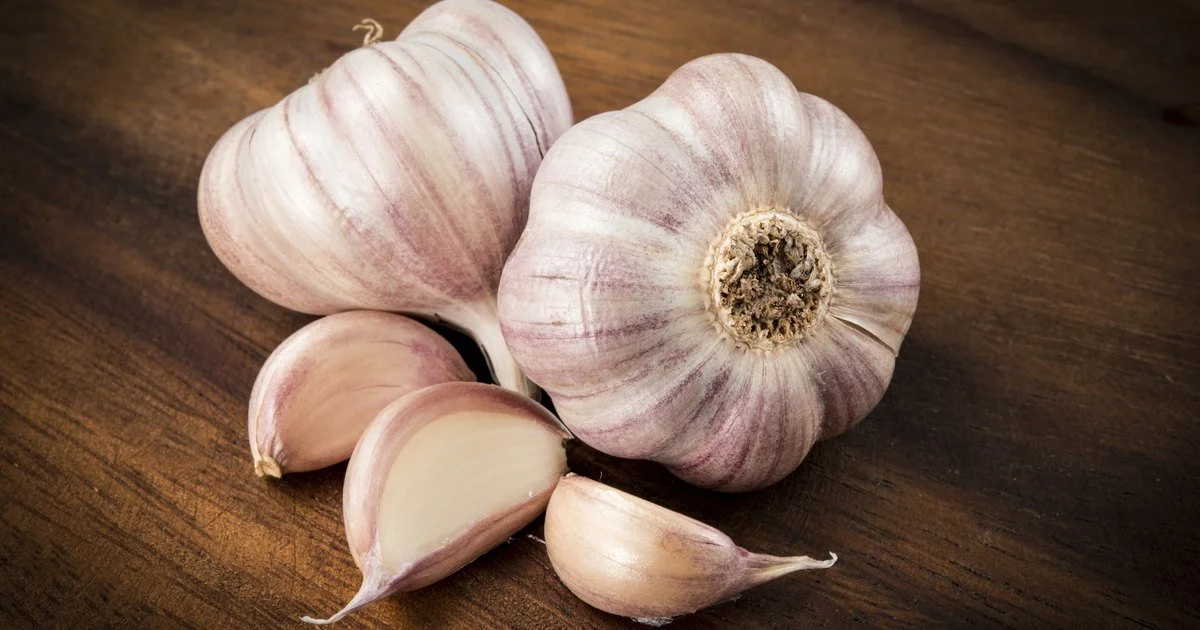 Garlic- Friend or Foe? 