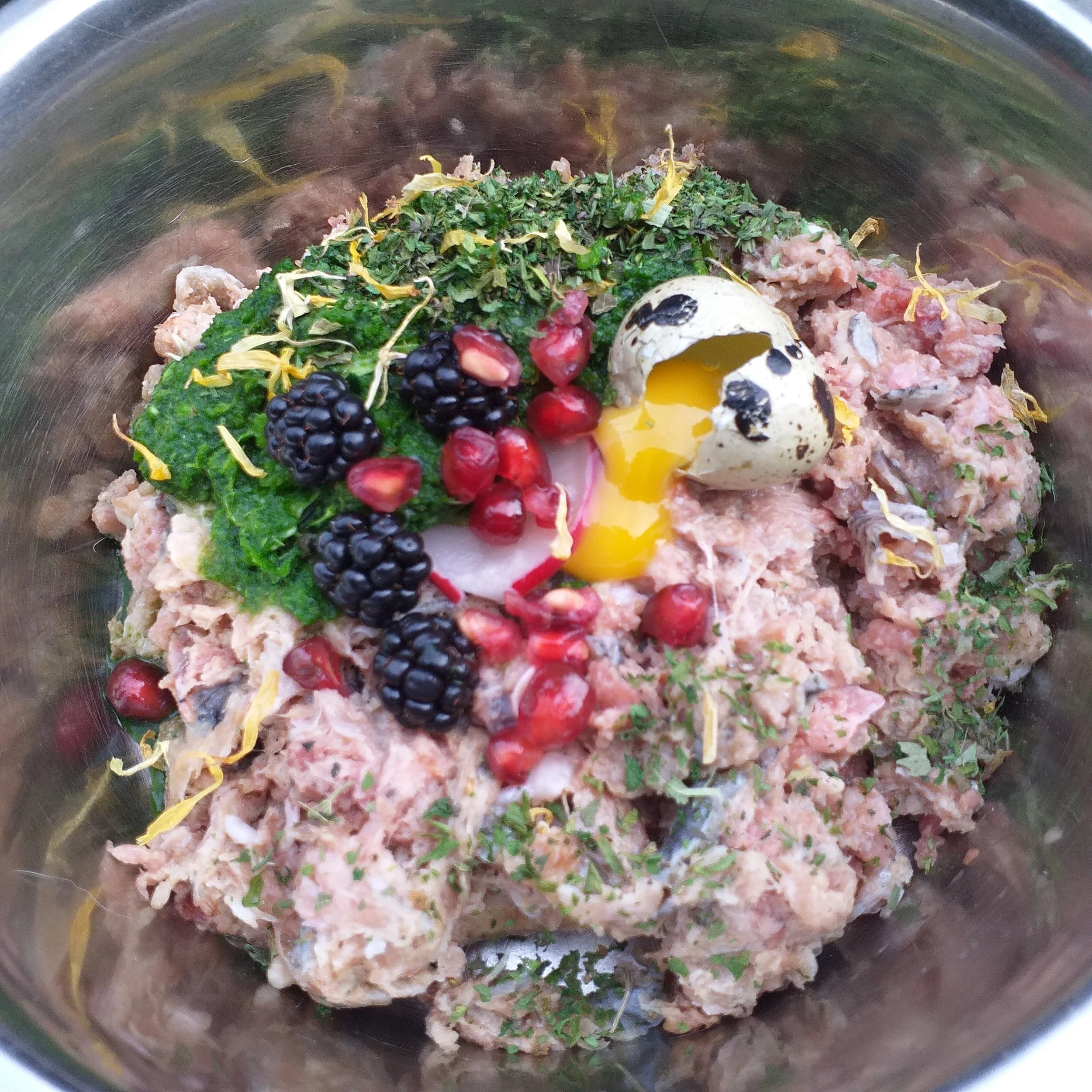 SEASONAL FEEDING - Making the Most of Fresh Ingredients