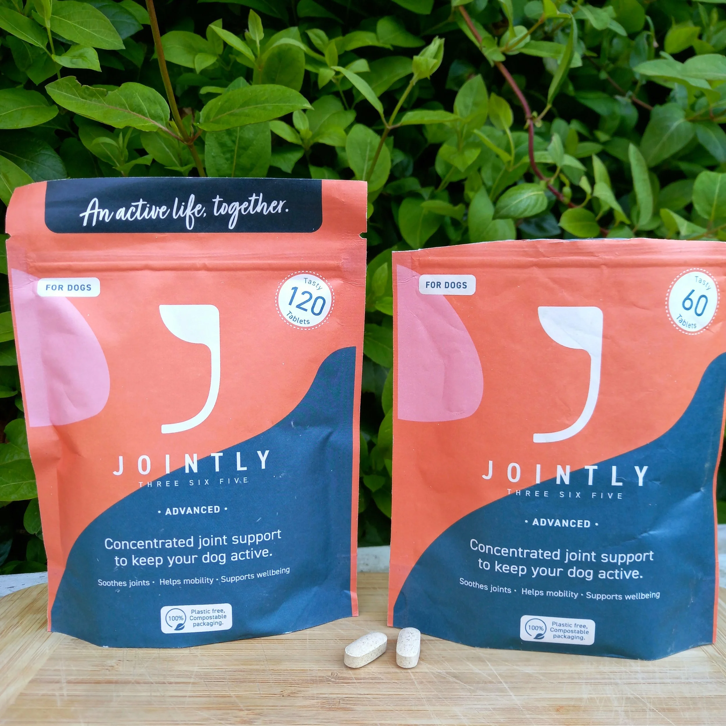 Joint Supplements for Dogs 