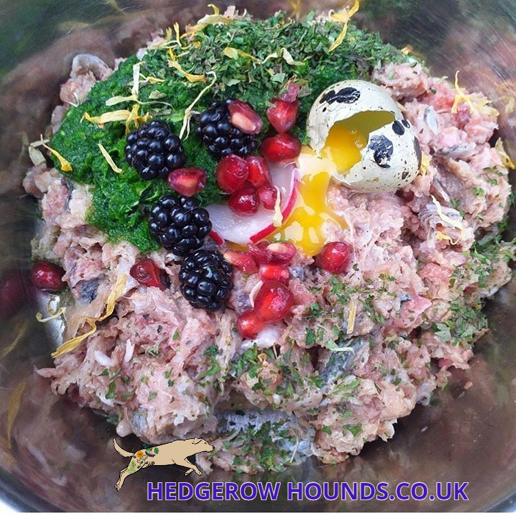 Adding Variation to Raw Diets 