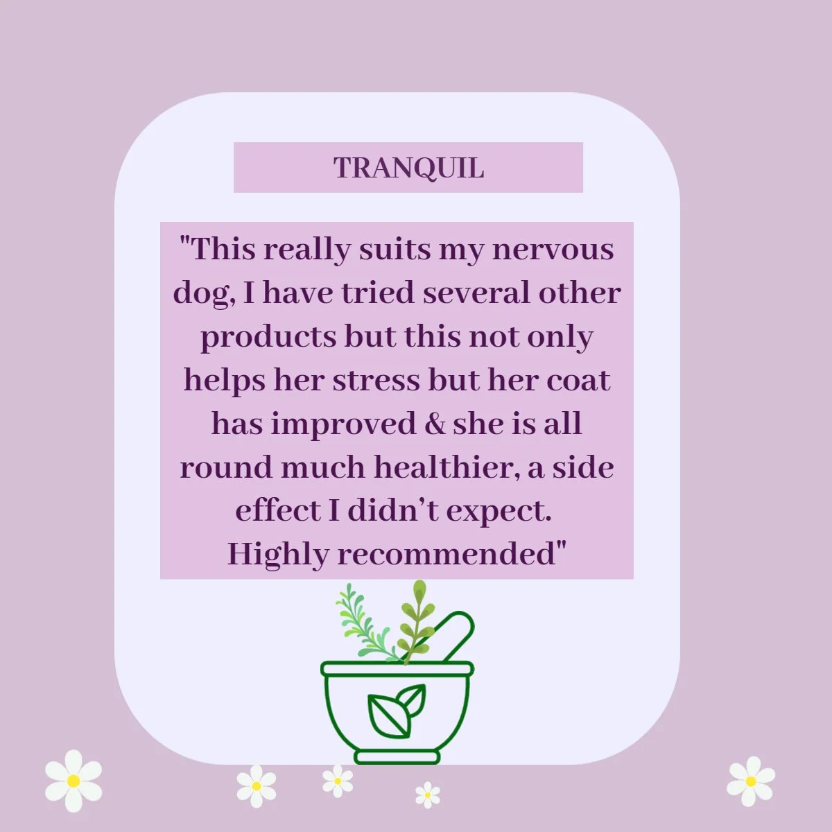 Tranquil Relax & Calm — Hedgerow Hounds Holistic Dog Care Products