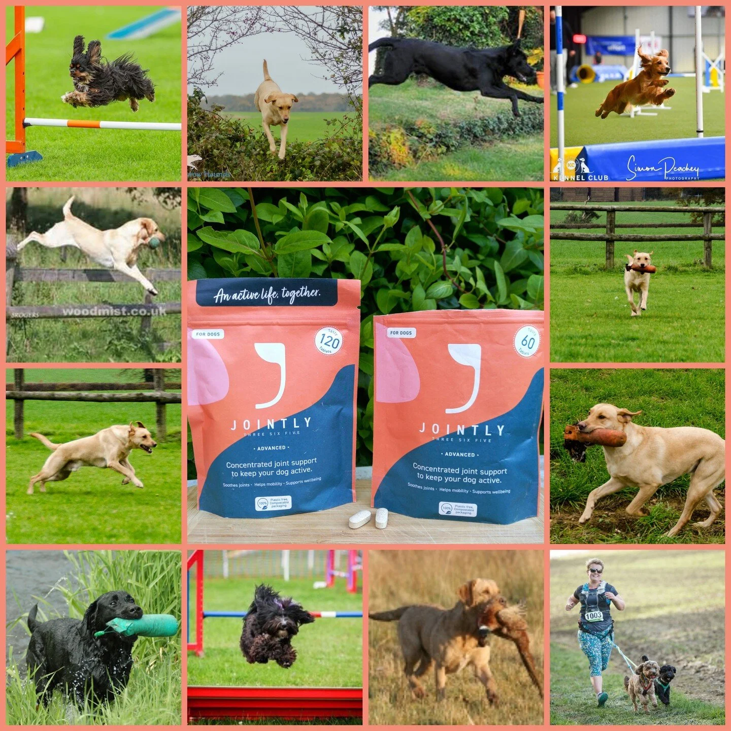 Hedgerow Hounds Holistic Dog Care Products