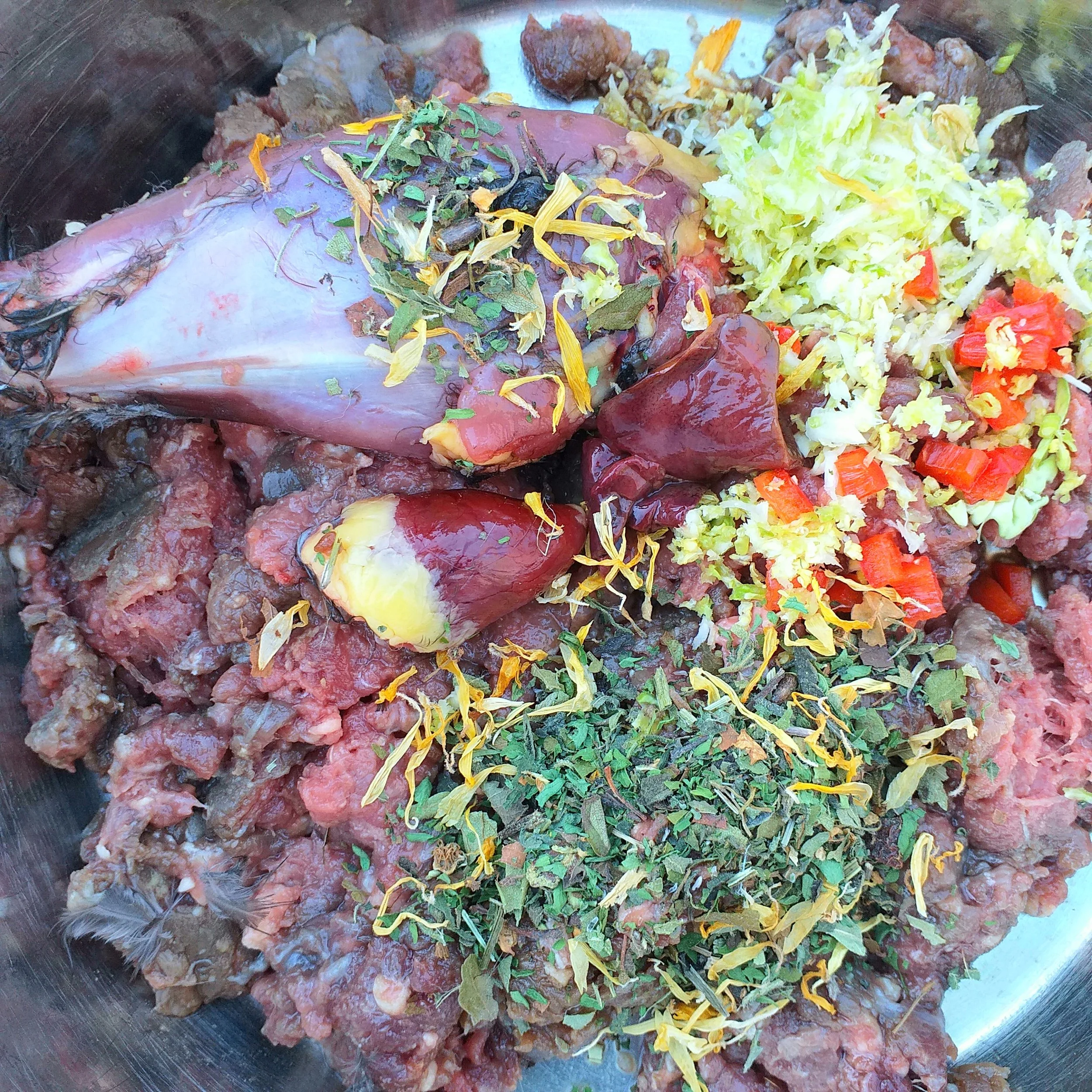 Raw Feeding - Mindfully 