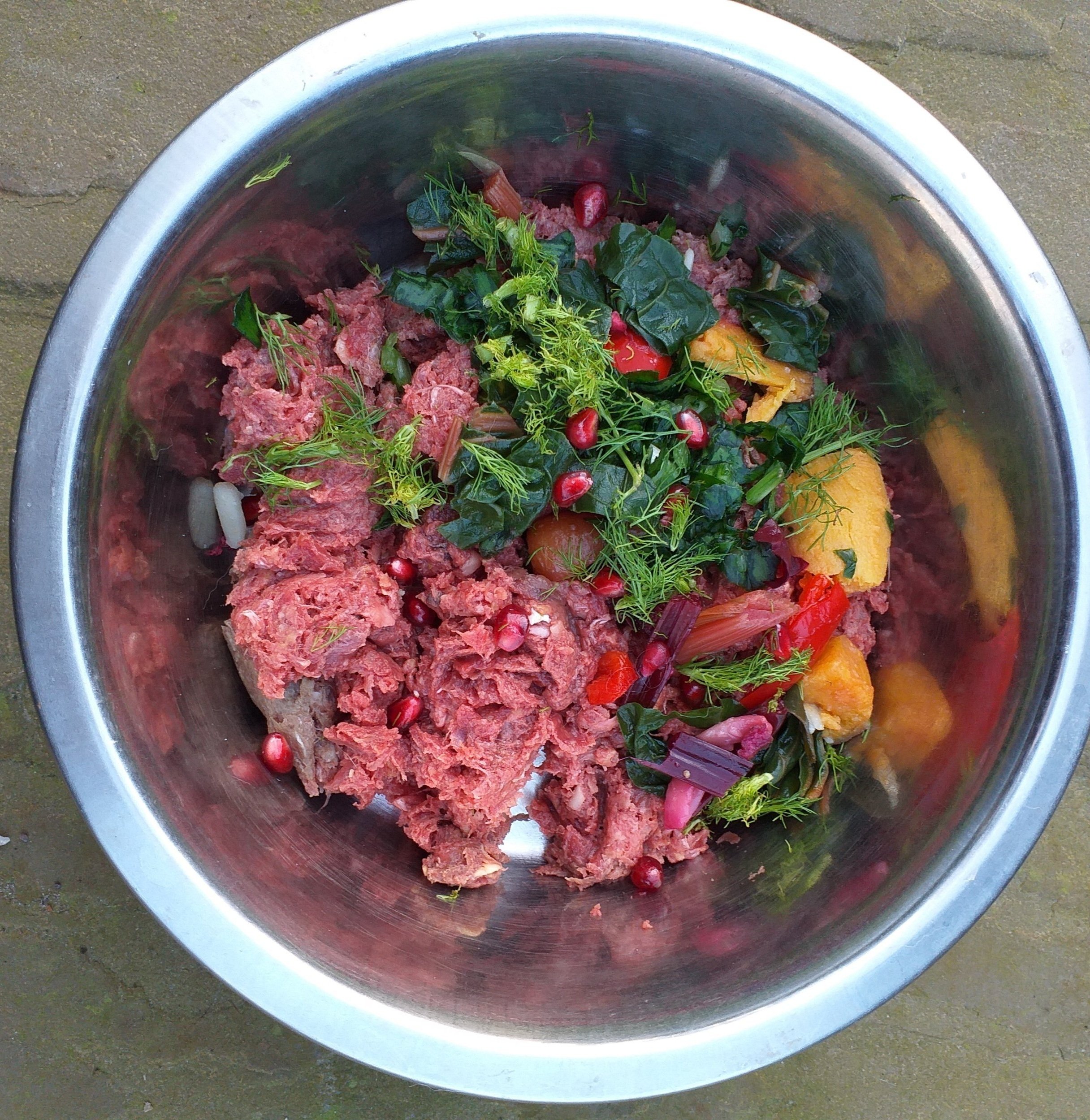 Feeding Vegetables to Dogs 