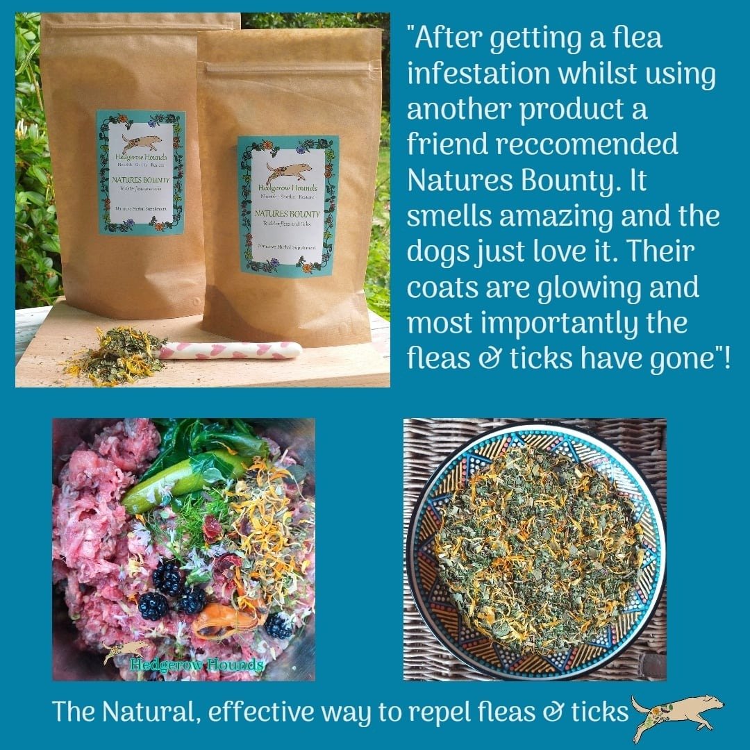 Nature's Bounty was the first blend I made 15 years ago and it had been on trial for around 5 years before that with my own dogs, tweaking the recipe as I went along. I have always strongly believed it is wrong and unnecessary to constantly add chemi