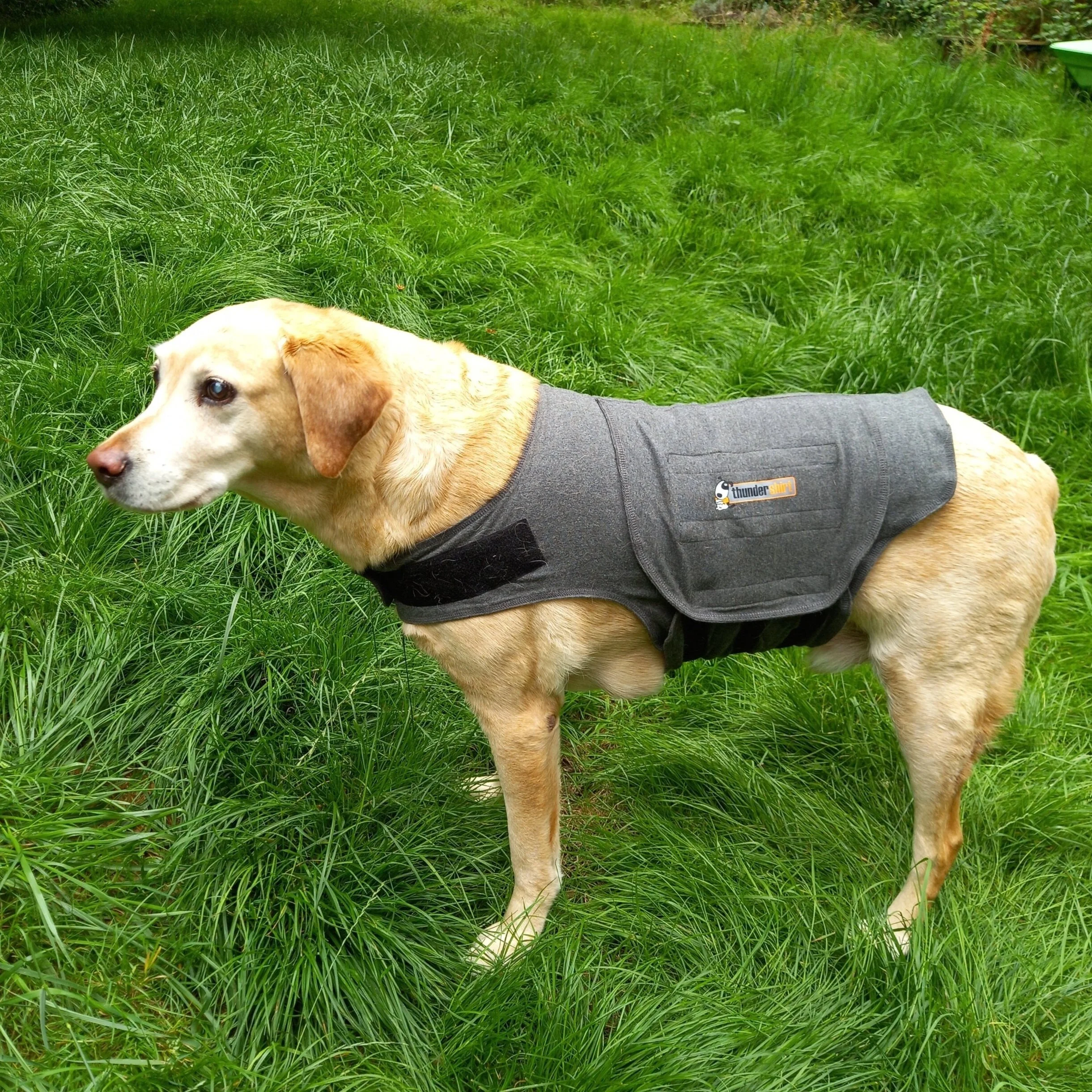 BODY WRAPS &amp; PRESSURE VESTS 