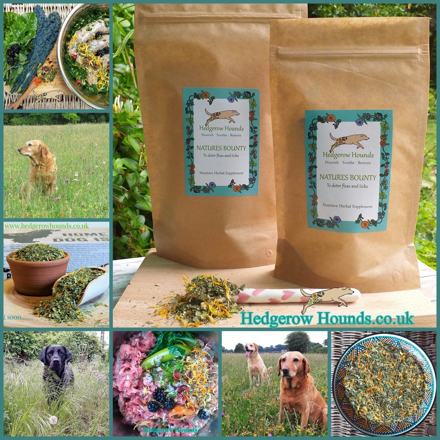 As the star of the show winds down for its short winter slumber, I have to have a major rethink on what words I can use on the labelling and rave about its virtues without actually telling you what it does.
I have asked AI to come up with a couple of