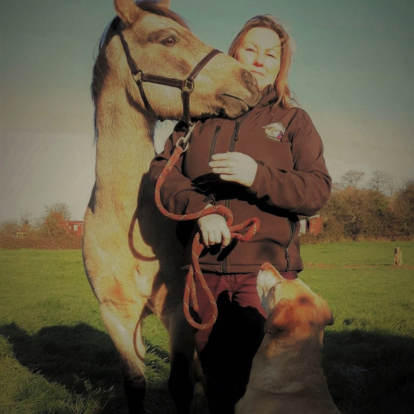 Many of you didn`t realise that I offer holistic consultations for both dogs and horses. We can cover any topic that is concerning you or troubling your pet. Or perhaps you are looking to expand your knowledge or get into the canine &amp; equine well