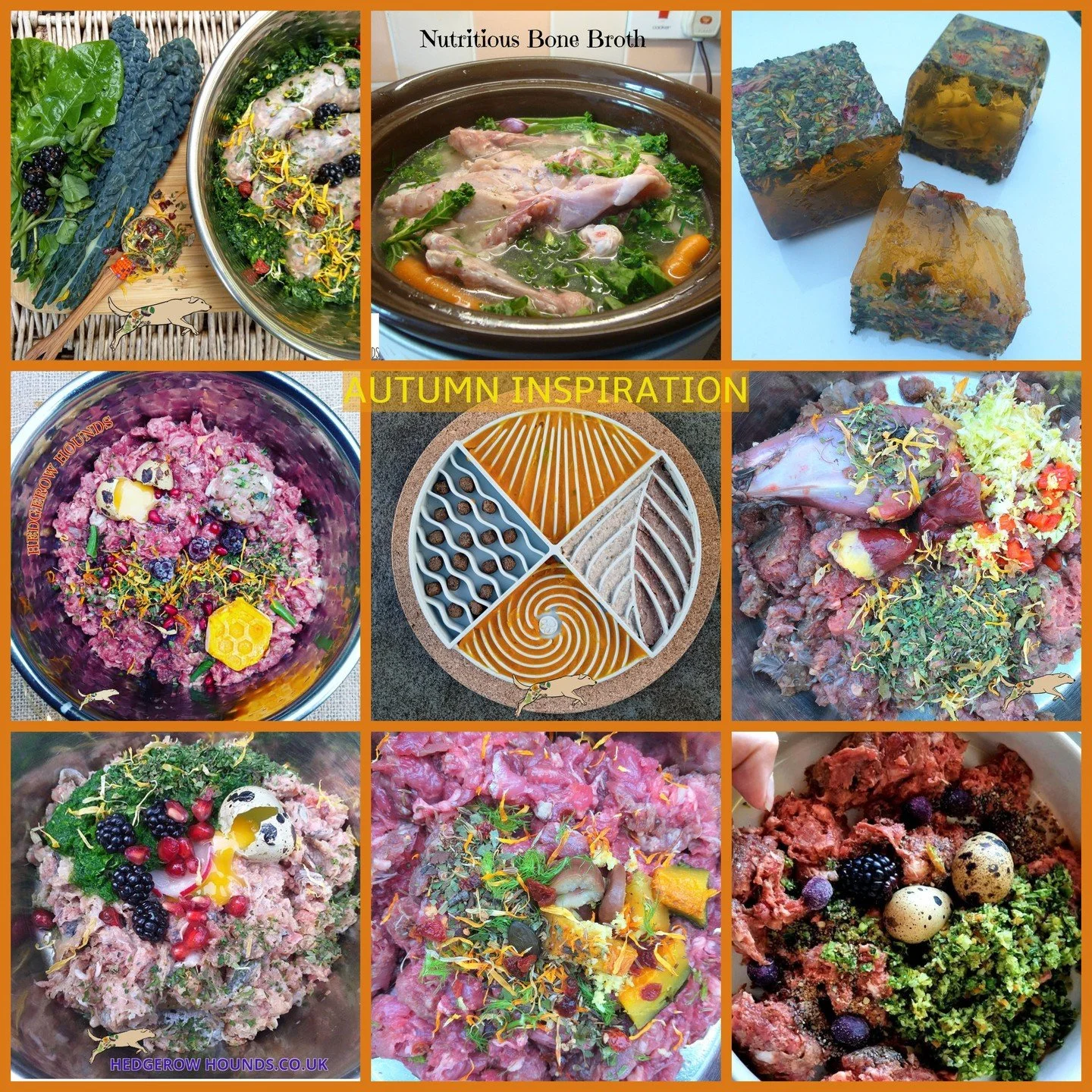 Autumn bowls. We are spoilt for choice with seasonal ingredients at the moment!