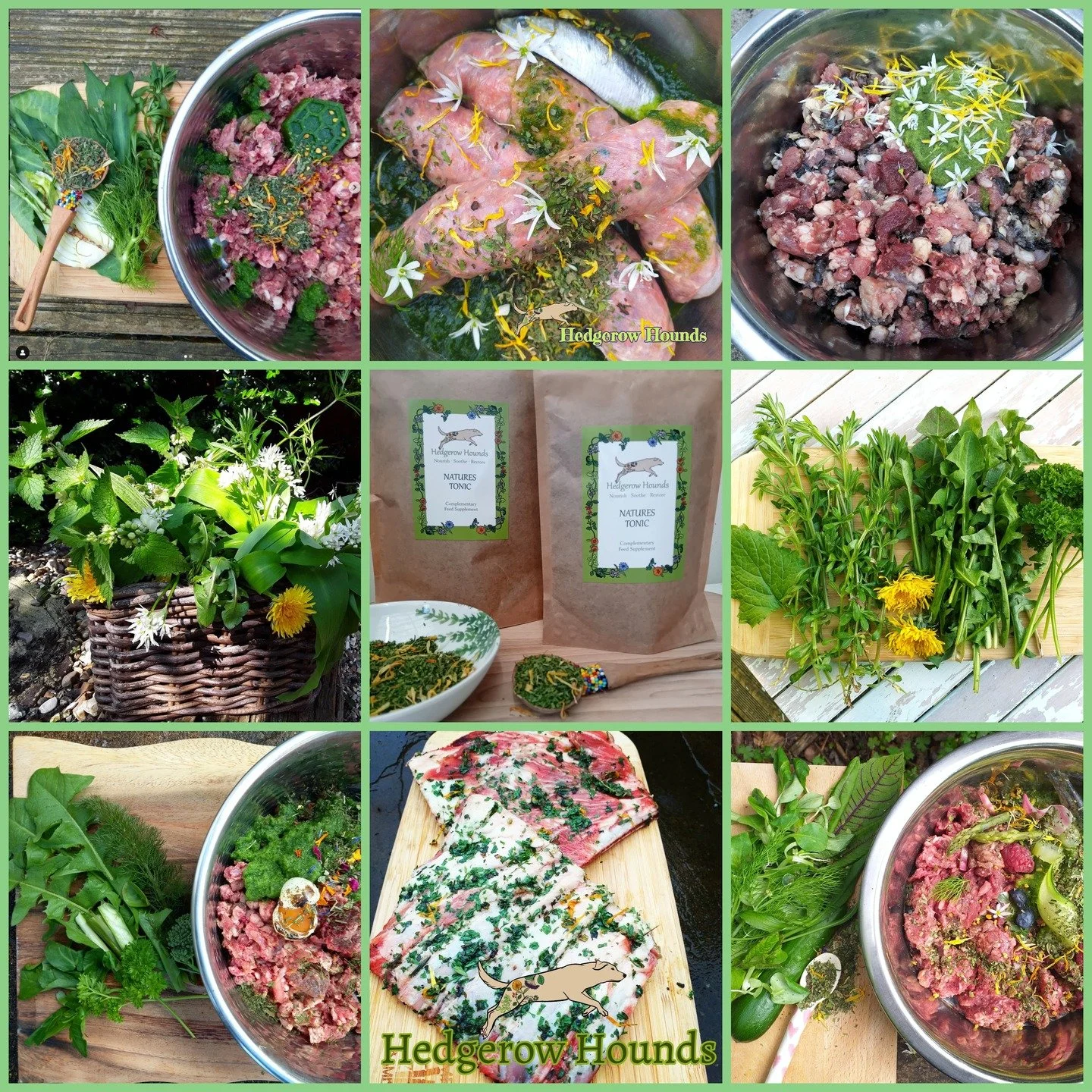 Spring is well underway! 🌼 
If you are into seasonal feeding, you`ll find that there are now additional ingredients available to add to your dog's meals.
In the herb garden, parsley, fennel, lemon balm and oregano are sprouting daily. Wild herbs suc