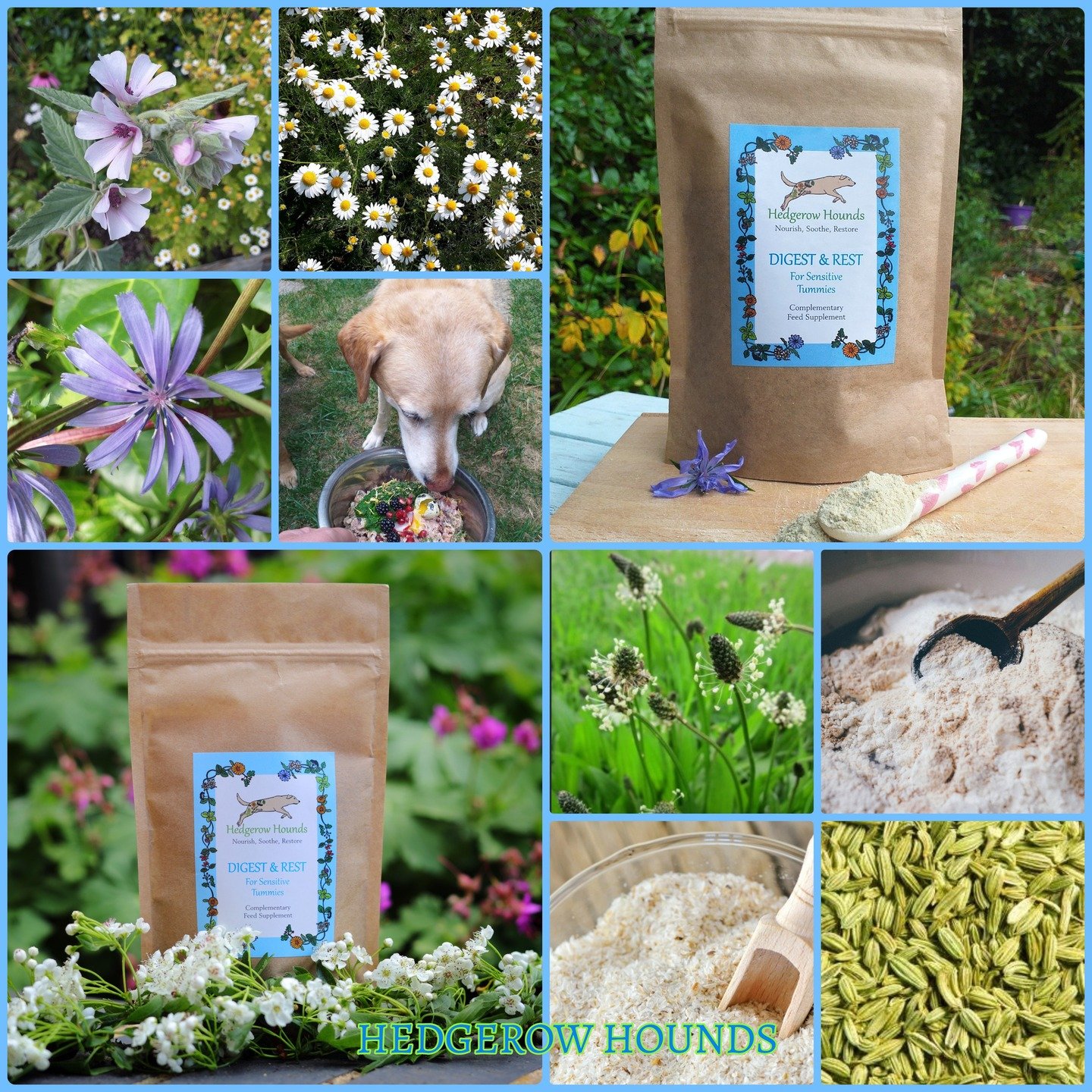 Digest &amp; Rest is the perfect addition to the diet if you are managing a dog with a sensitive tummy or digestive issues, such as reflux, or the days of a sudden upset tummy that needs some tlc. It is very versatile and can be stirred into wet food