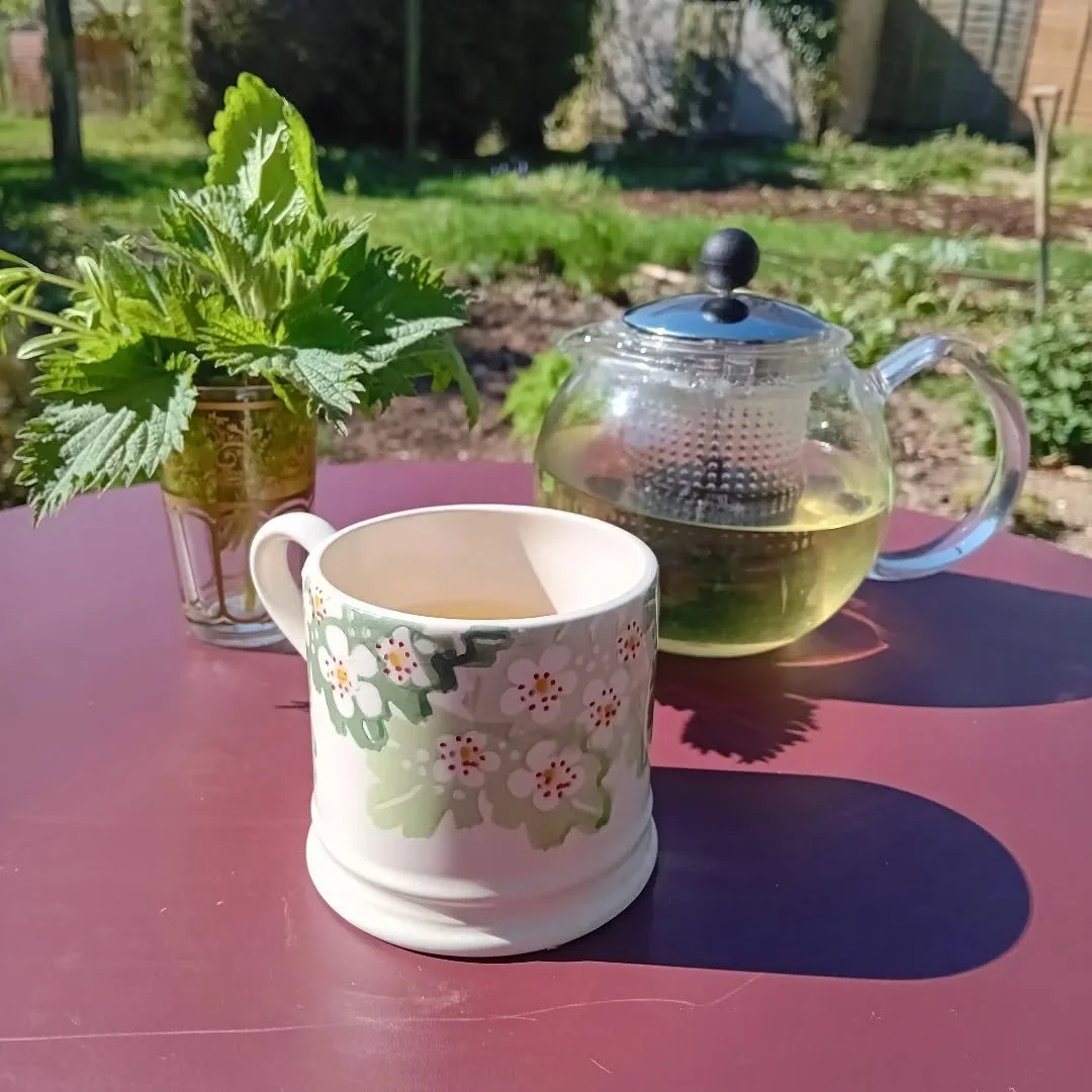 Refreshing, therapeutic herbal tea 🌿 It's as simple as picking a few nettle tops, lemon balm, cleavers, and apple mint and popping them into a tea pot or infuser,  adding hot water and steep for 6-10 minutes. Better still pick on a 🌞 day and get ex
