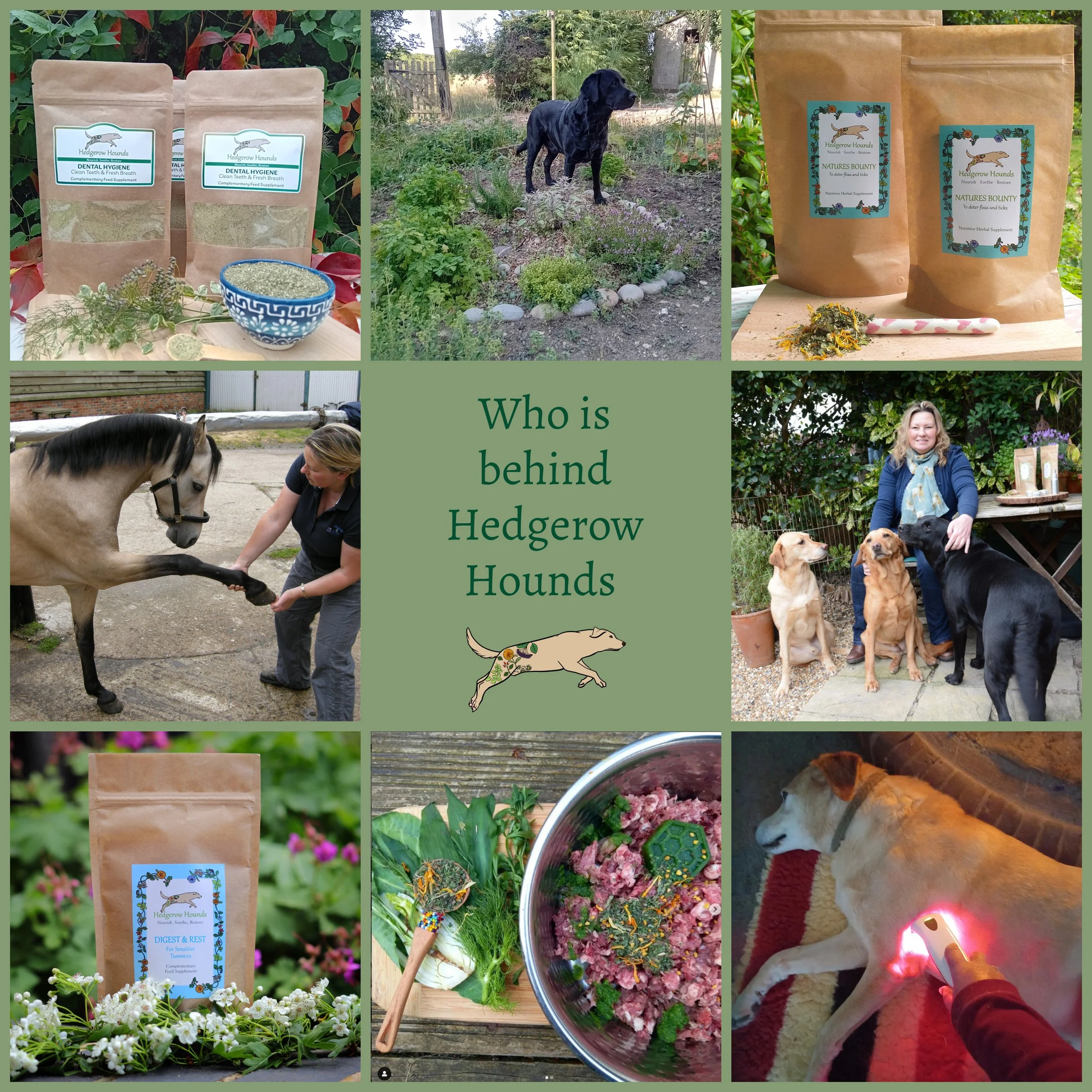 Who is behind Hedgerow Hounds 