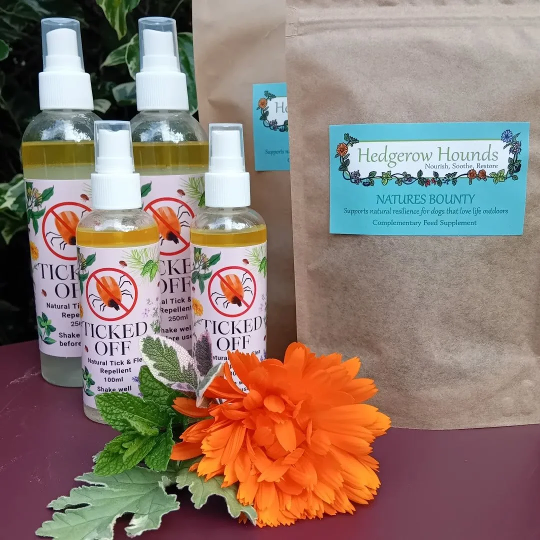 Apologies if you went to order Ticked Off via the newsletter today, and it was sold out.
The last few bottles flew out, but fear not I've ordered more, and they are on the way ! 🌼