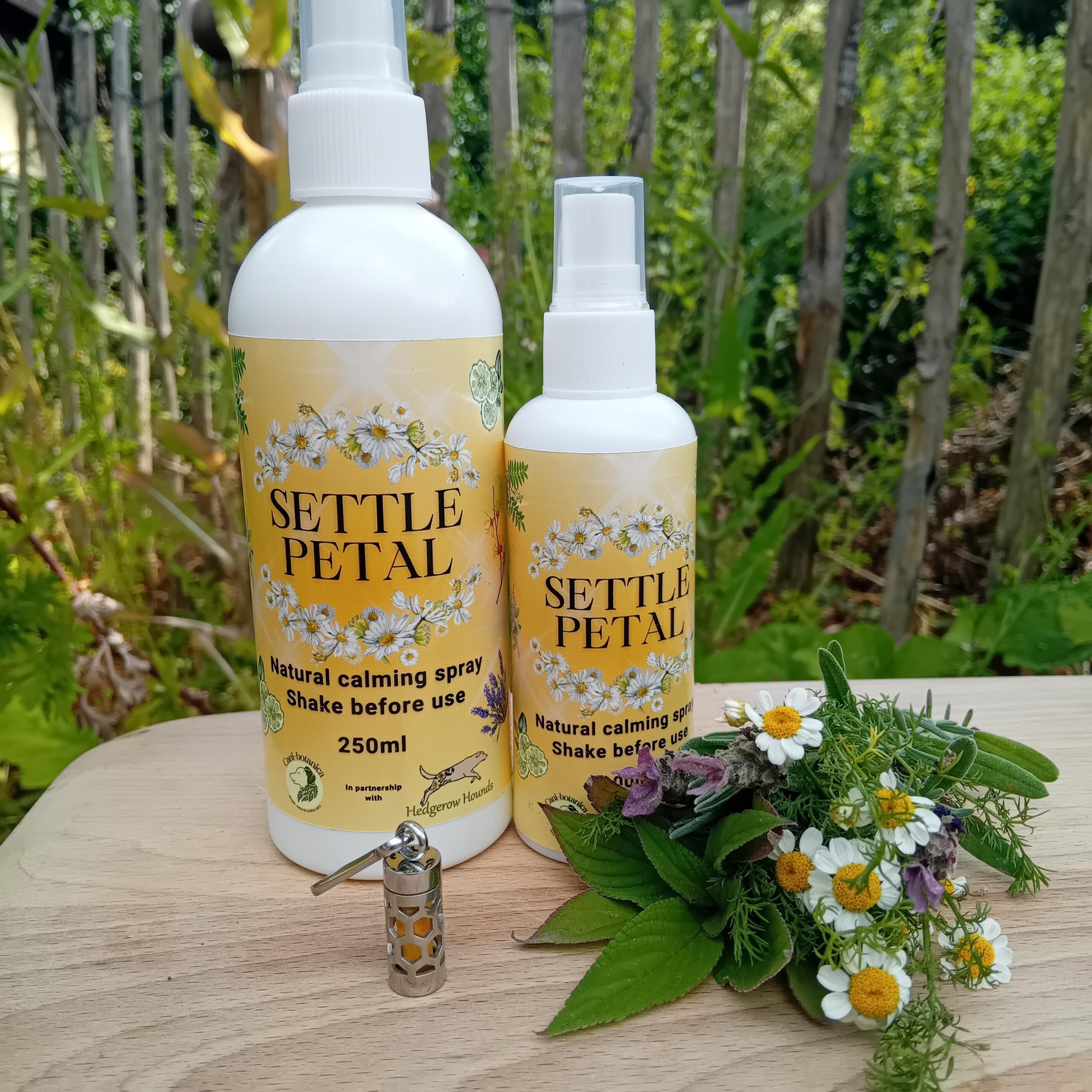 SETTLE PETAL SPRAY.jpg