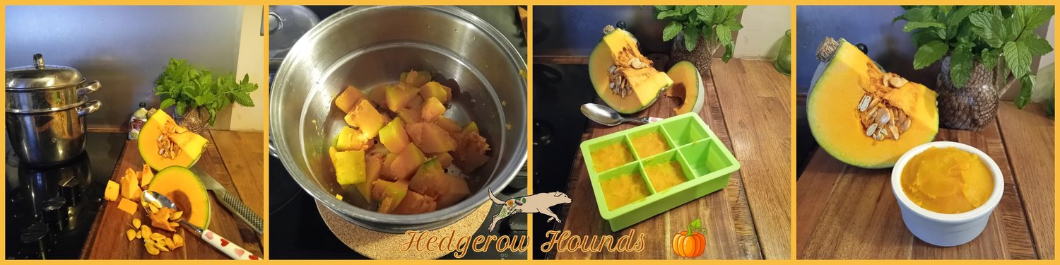 View of Pumpkin Puree for Dogs — Hedgerow Hounds | Holistic Dog Care Products