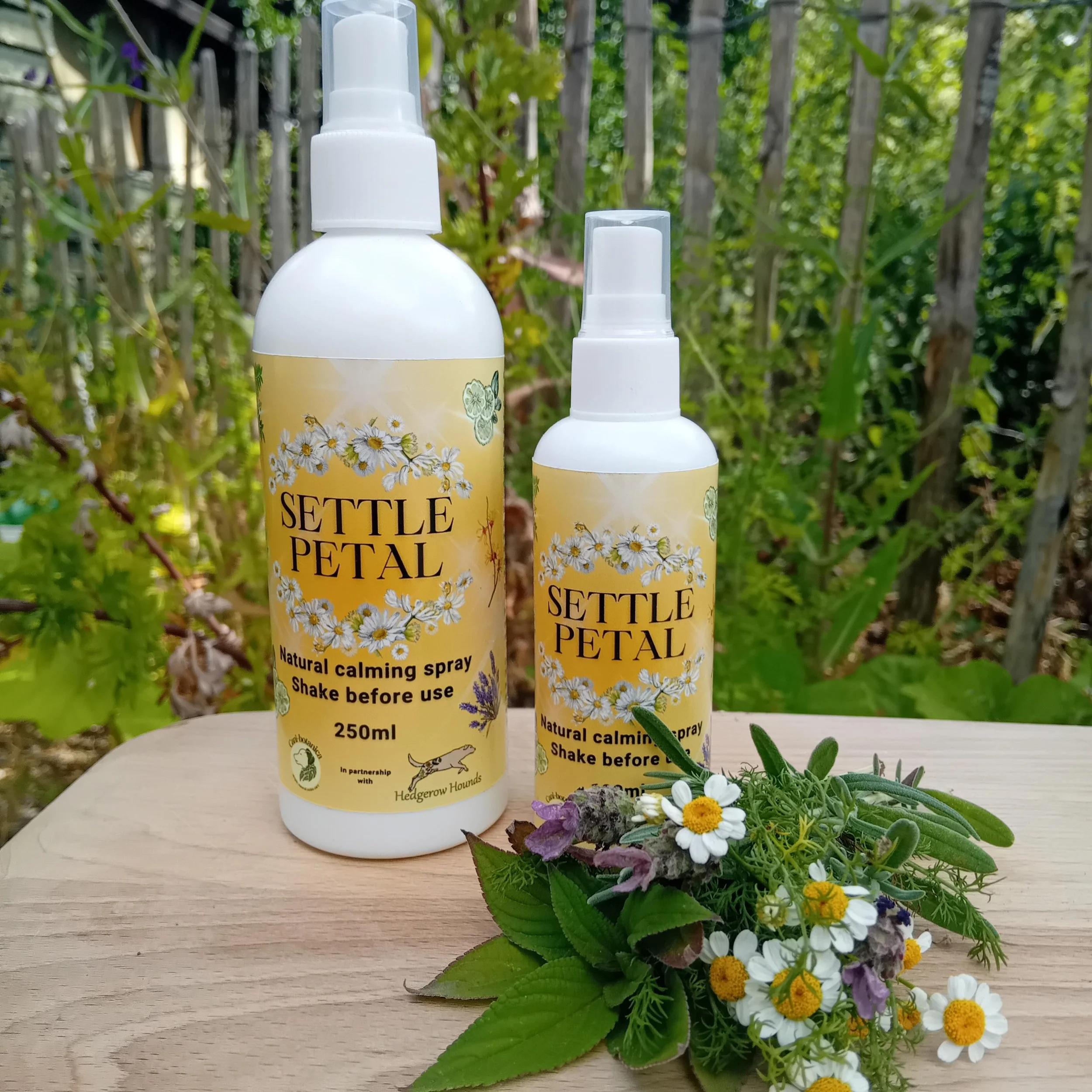 SETTLE PETAL JUST SPRAY.jpg