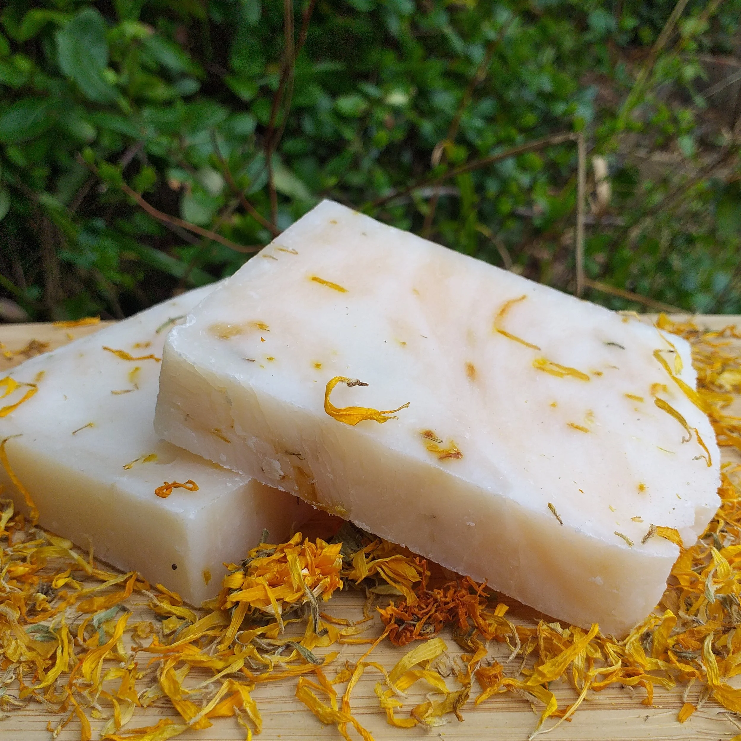 calendula soap.jpg