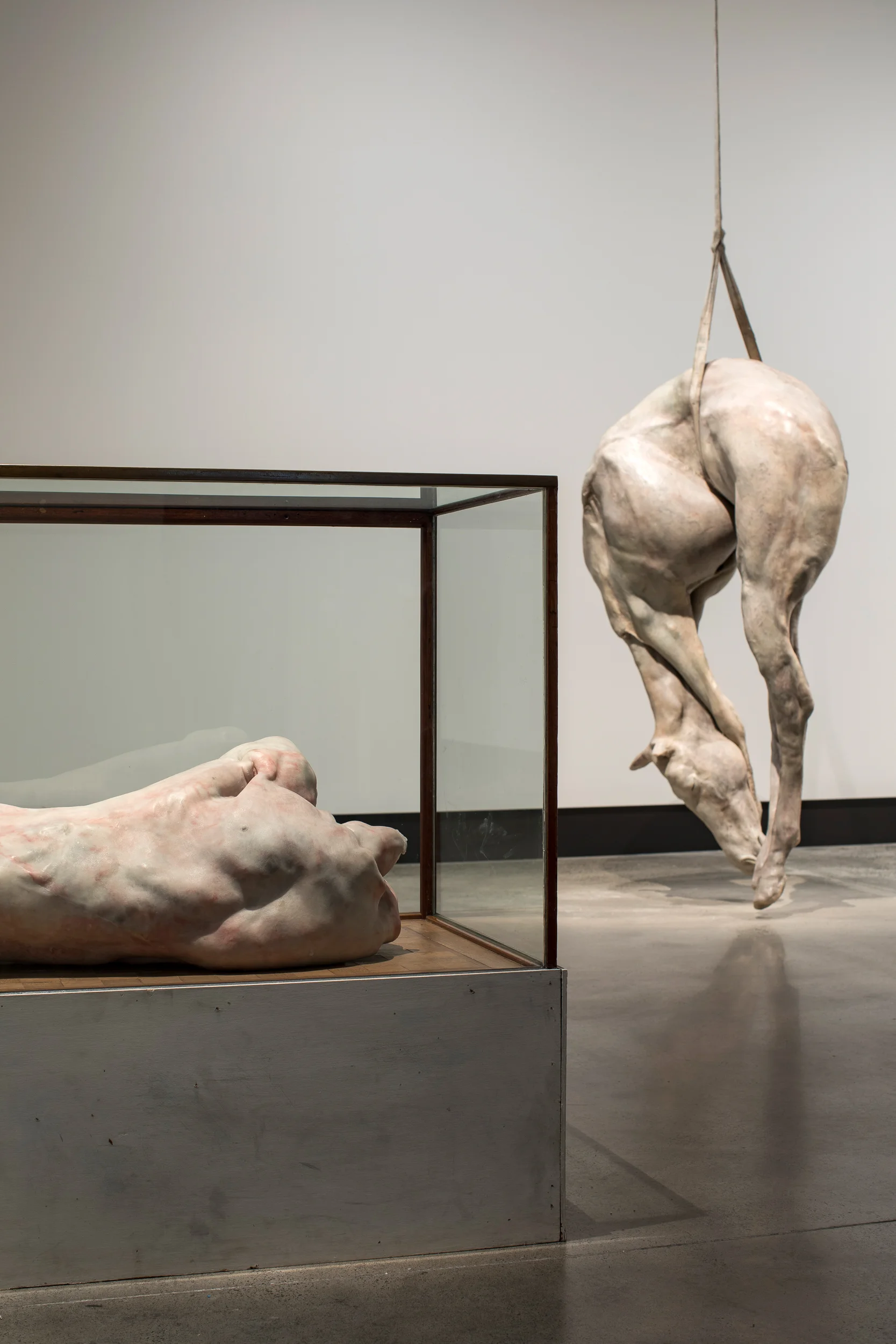 Lange eenzame man 2010 Wax, epoxy, cushion, glass, wood, iron & P XIII 2008 Cast and modelled wax, epoxy, metal, rope Both works by Berlinde De Bruyckere (Born 1964, Ghent, Belgium, where she lives and works) Part of the Mona collection