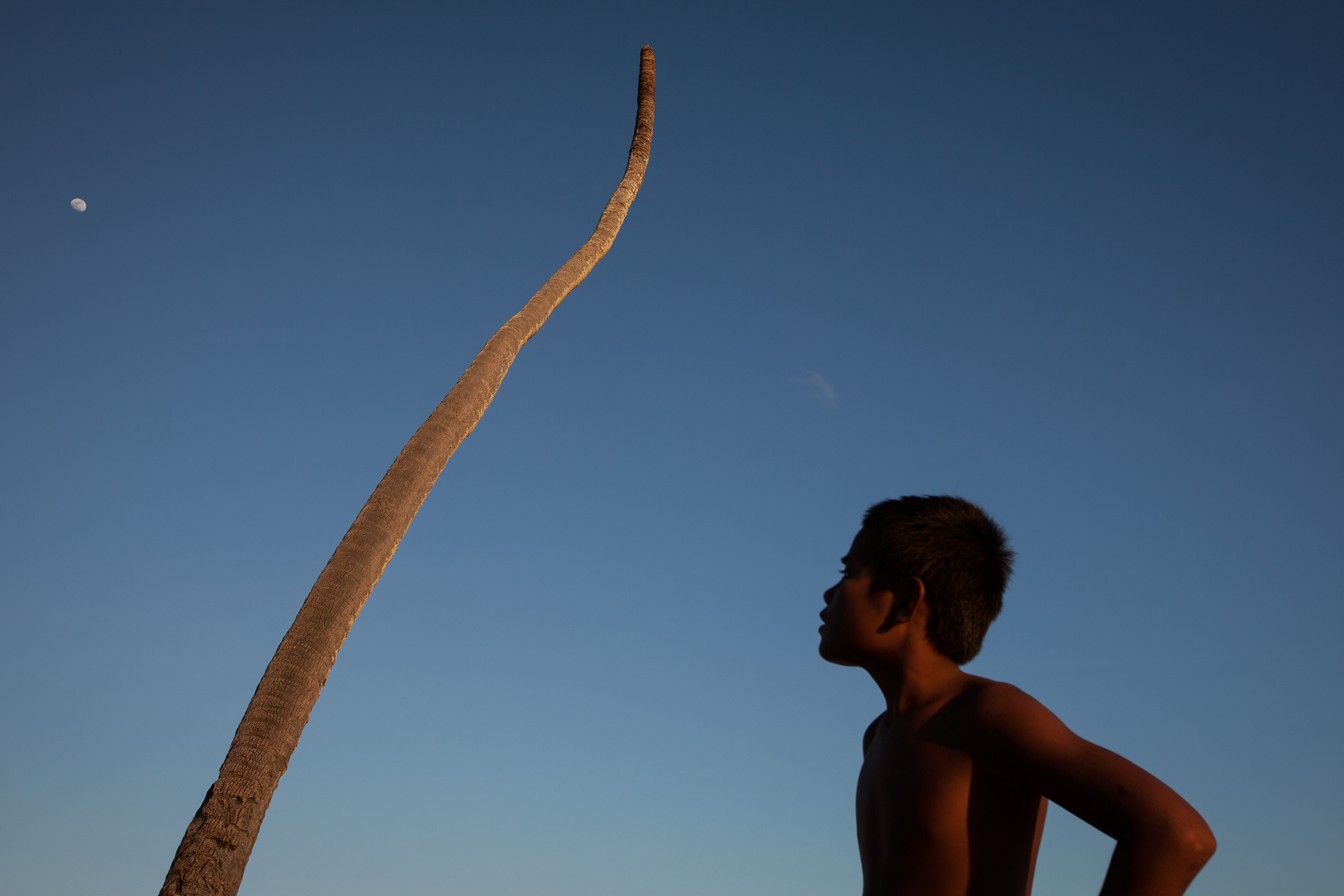 At sunset in South Tarawa, a boy looks across at a palm tree killed by the sea. In a few days, the moon will be full, bringing the highest tide in three months and the chance of another inundation by the sea. Flooding directly impacts the islands' meagre supply of fresh water making it undrinkable, and causes crops and other vegetation to die.