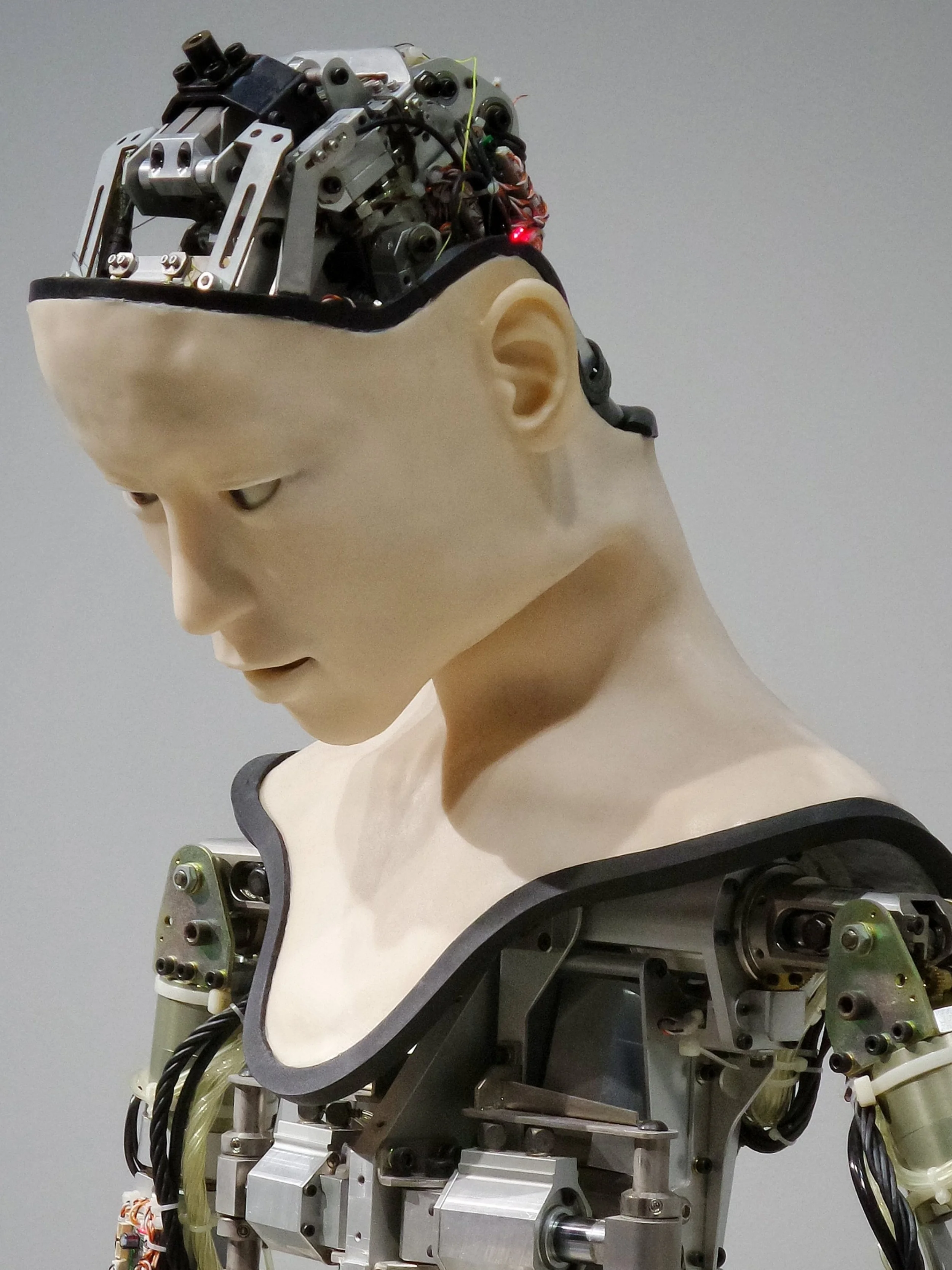 The Confidence of Intelligence