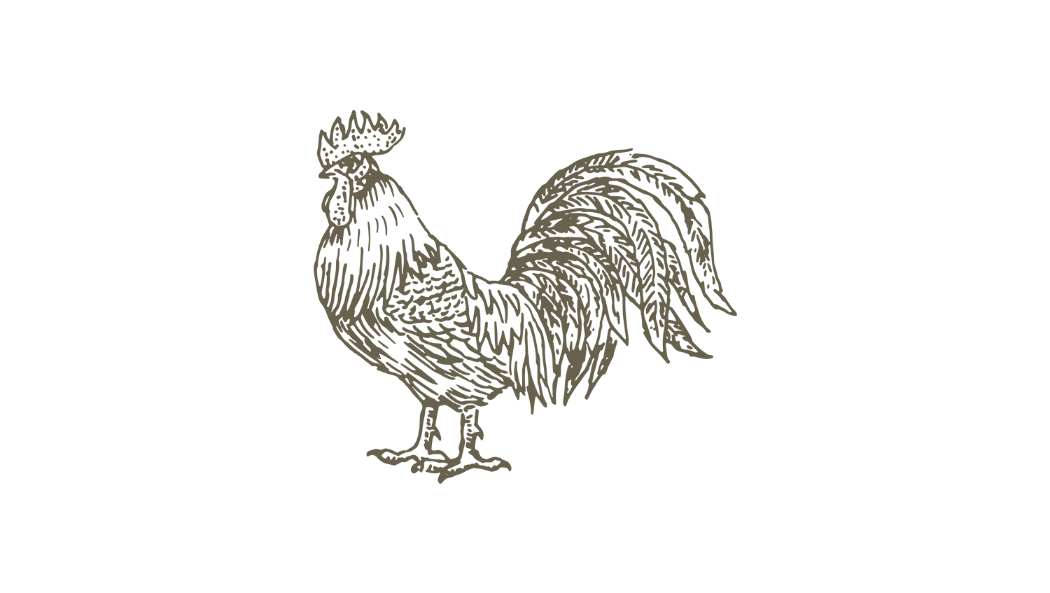 Walnut_cockeral.png