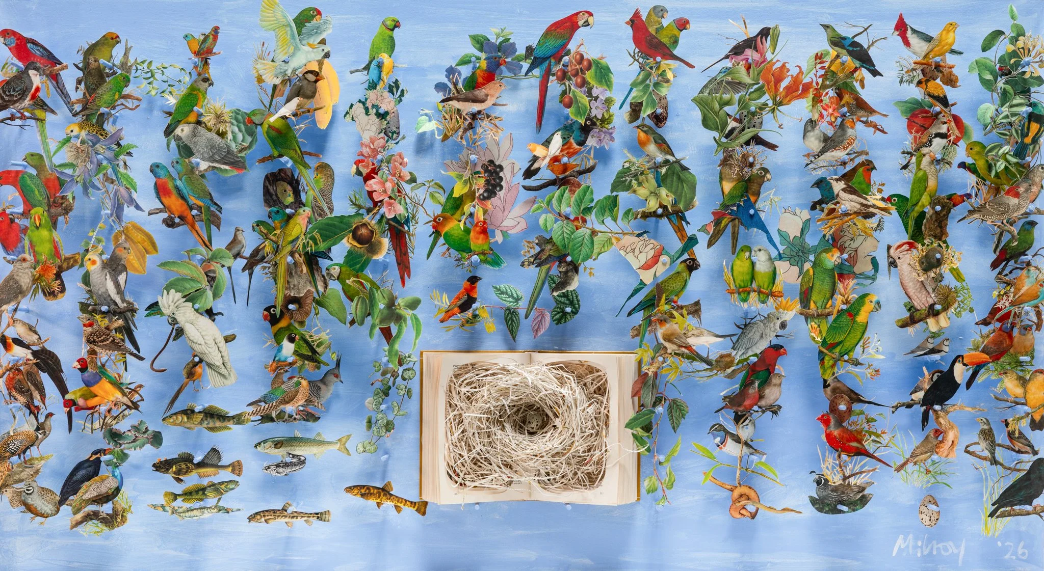 The Monkey and the Nest by Jack Milroy, 2026