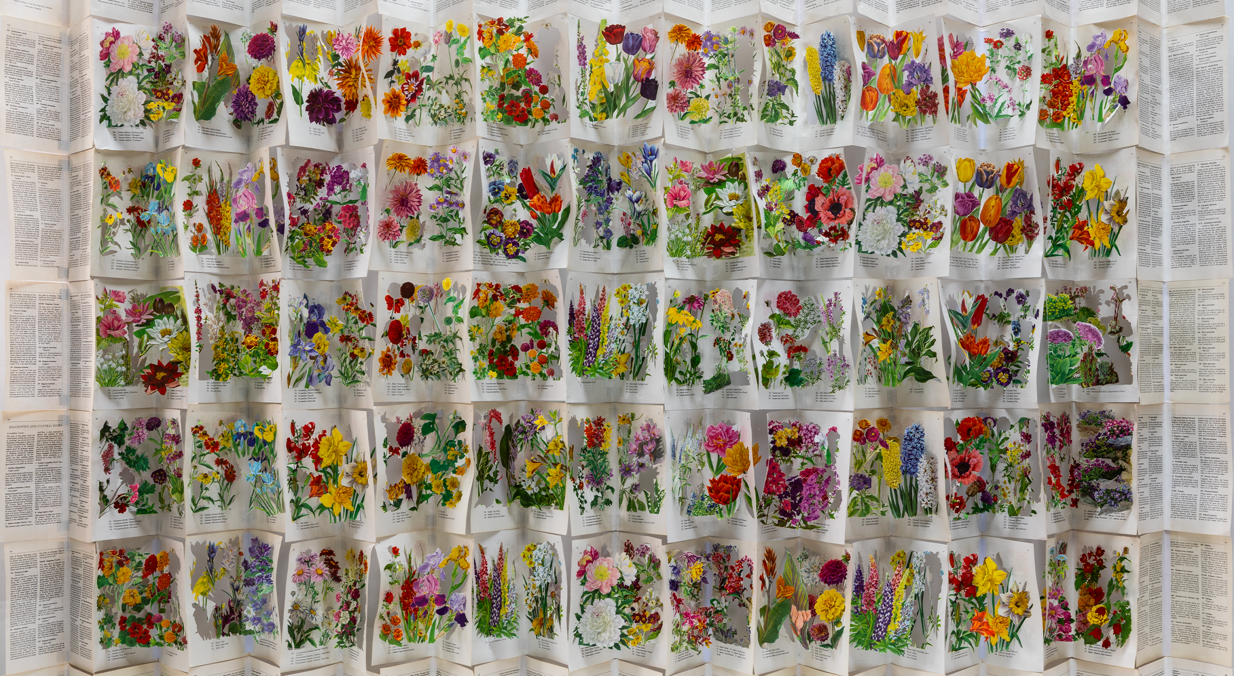 The Librarian’s Cottage Garden by Jack Milroy, 2026 
