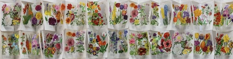 Book-work by Jack Milroy: Librarian's Cottage Garden