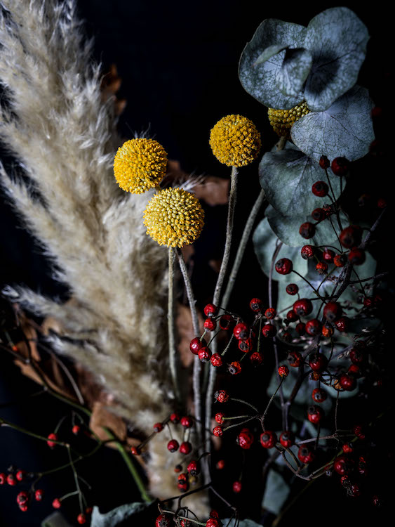 LilyWanderlust-Autumn-Blooms-5.jpg