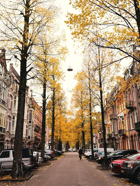 LilyWanderlust-LateAutumn-15.jpg