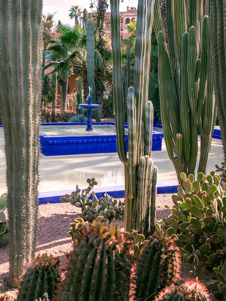 marrakesh-jardin-majorelle-2017-©LilyHeaton-Jardin-Majorelle-9.jpg